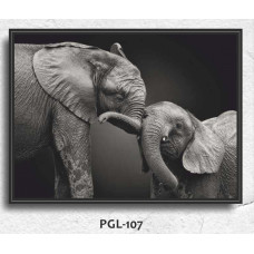 PGL-107